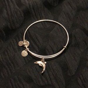 Silver Alex and ani dolphin